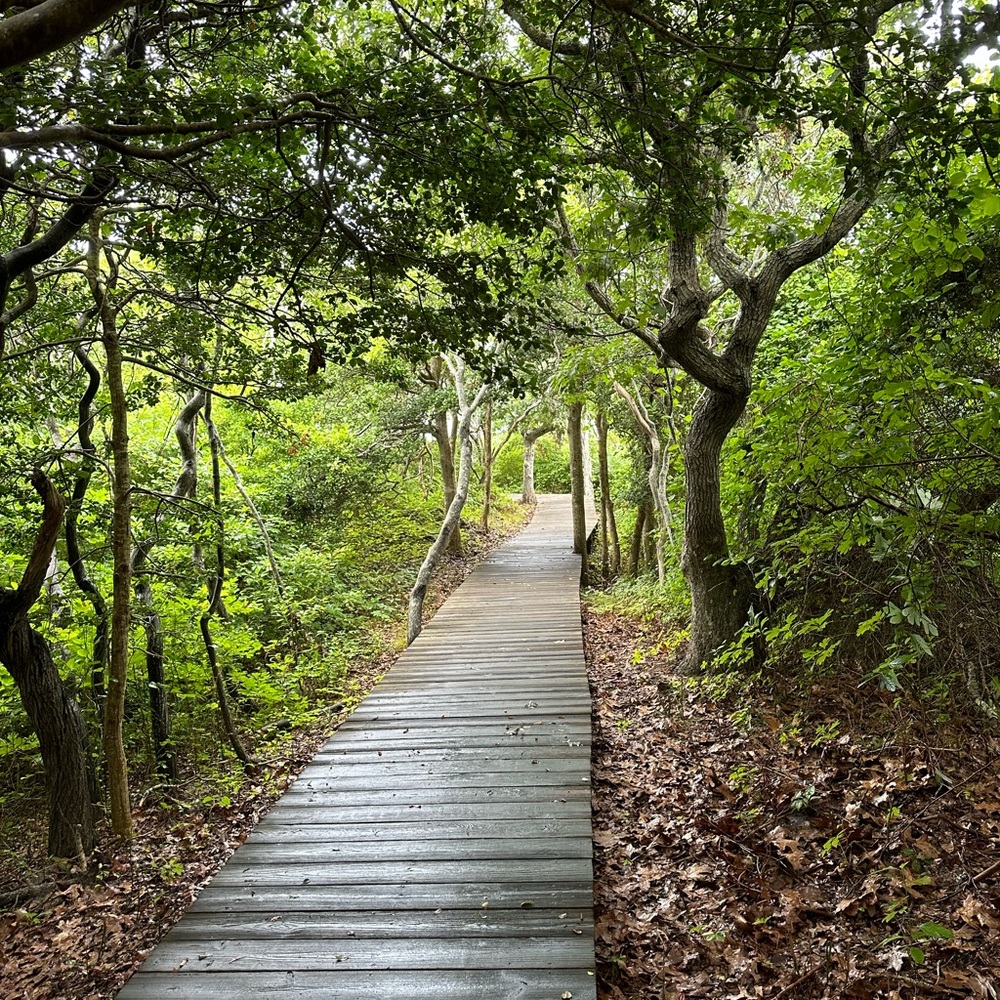 Meet your Posher, Meghan